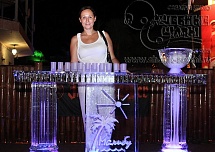 Любые ледяные скульптуры