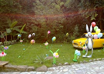 День рождения