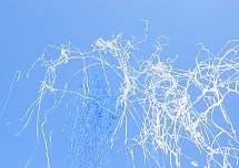 Выстрел серпантин 