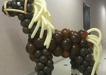 Надписи и фигуры из шаров