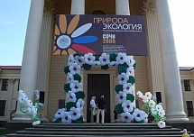 Гирлянды распускающихся цветов